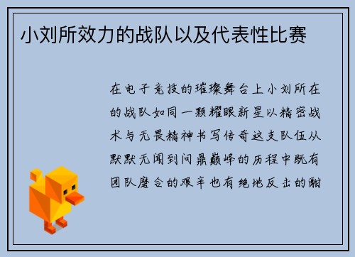 小刘所效力的战队以及代表性比赛