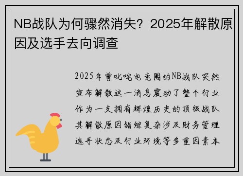 NB战队为何骤然消失？2025年解散原因及选手去向调查